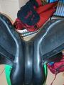 Selle zaldi olympic 17,5