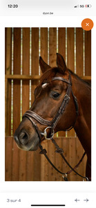 Filet dy'on working fit poney