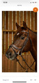 Filet dy'on working fit poney