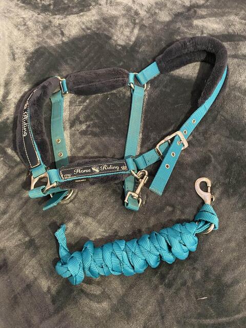 licol fouganza