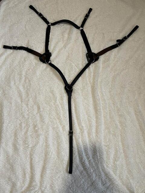 Collier de Chasse 5 points