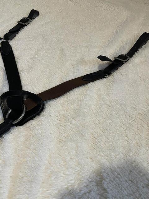 Collier de Chasse 5 points