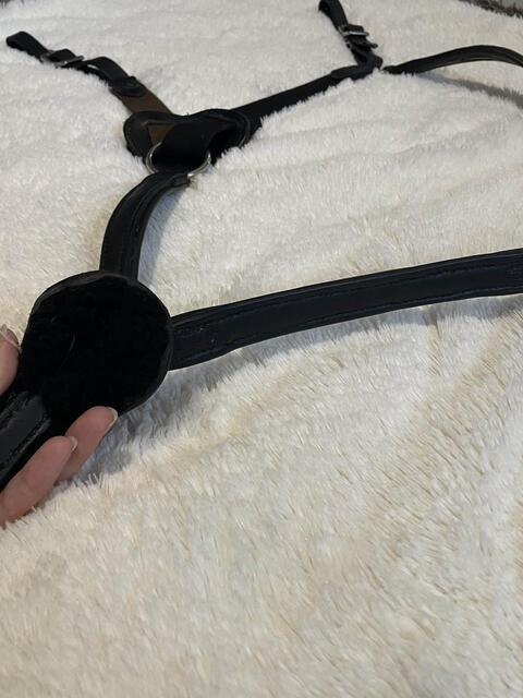 Collier de Chasse 5 points