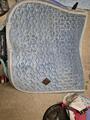 Tapis kentucky