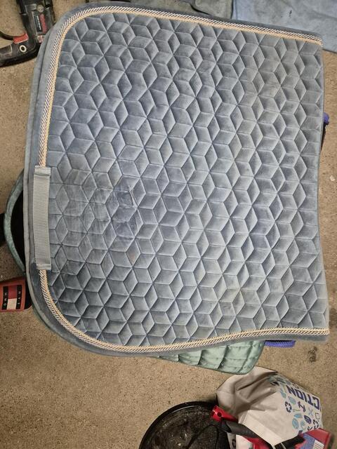 Tapis kentucky