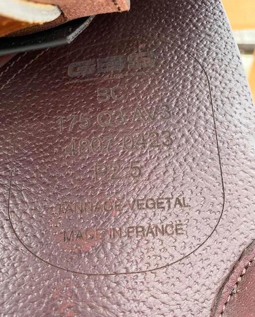 selle GBS