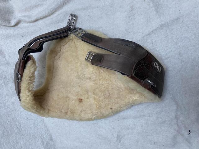 Sangle CWD bavette mouton - 130