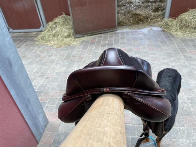 Selle cso arion