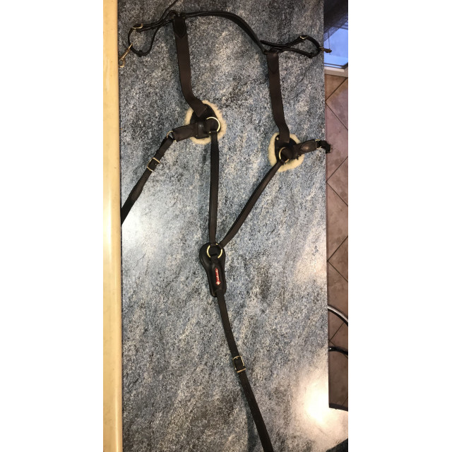 Collier de chasse avec martingale Equipe