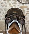 Selle de dressage portugaise