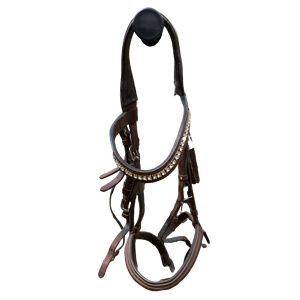 Bridon marron