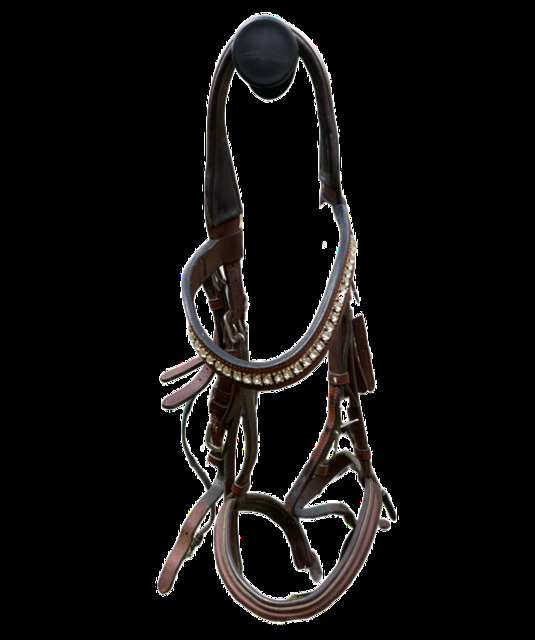 Bridon marron