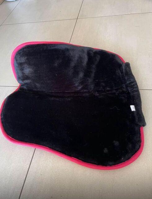 amortisseur taille cheval