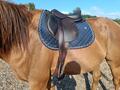 Sangle cuir Forestier