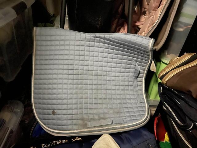ensemble tapis dressage guetre et bonnet