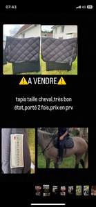 tapis gris