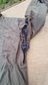 Blouson KINGSLAND Equestrian