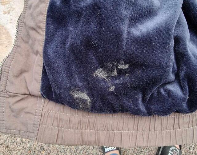 Blouson KINGSLAND Equestrian