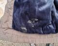 Blouson KINGSLAND Equestrian