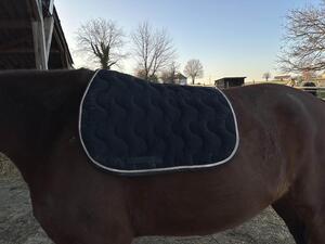 Tapis Paddock Sport noir avec liseret tressé rose gold