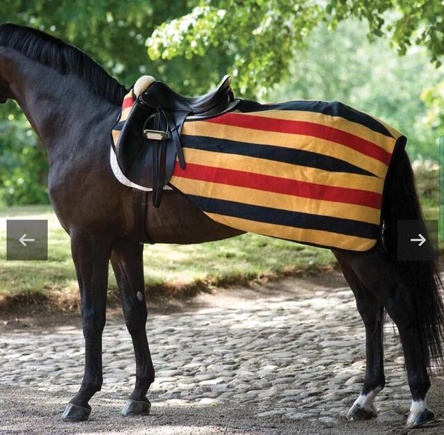Couvre rein horseware
