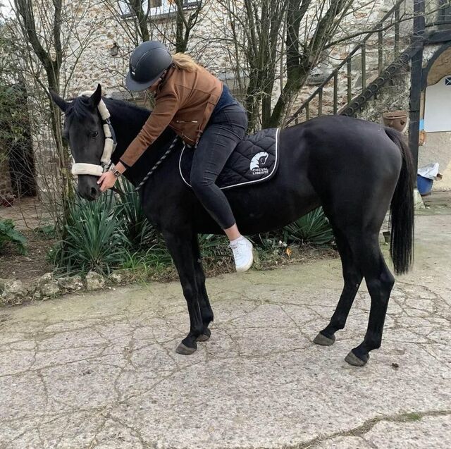 Tapis Cheval Liberté