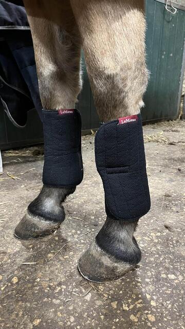 flanelle avant