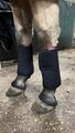 flanelle avant
