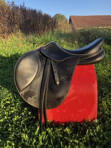 selle 17 Whitaker