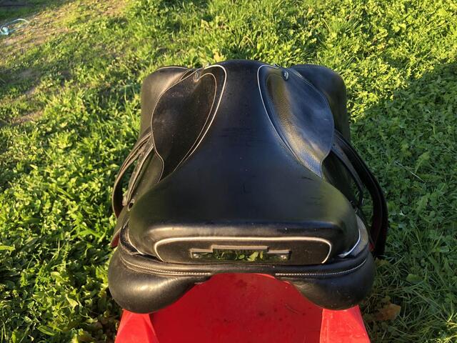 selle 17 Whitaker