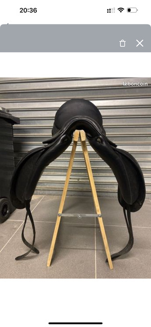Selle Dressage