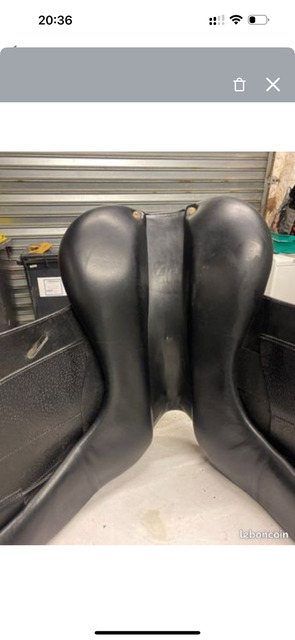 Selle Dressage