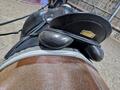 Selle dressage albion