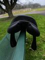 Selle Eric Thomas noire Elite 17’5