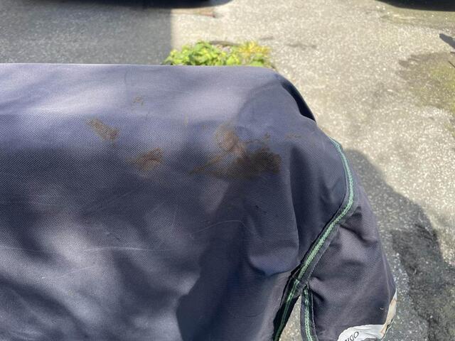 Couverture imperméable horseware avec couvre cou