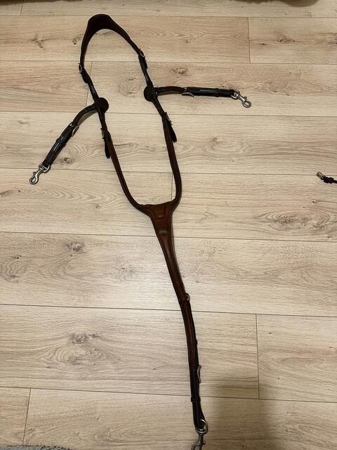 collier de chasse Antarès Marron