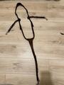 collier de chasse Antarès Marron