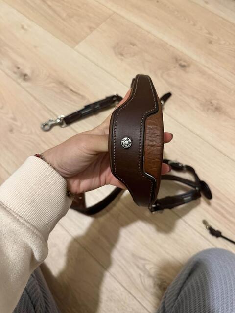 collier de chasse Antarès Marron