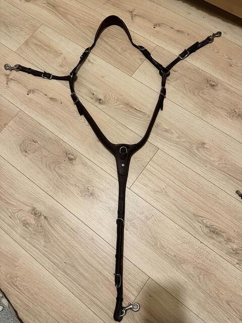 collier de chasse Antarès Marron