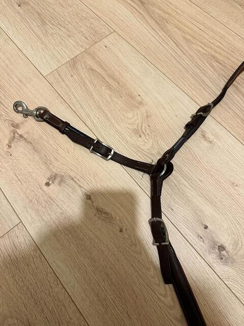 collier de chasse Antarès Marron