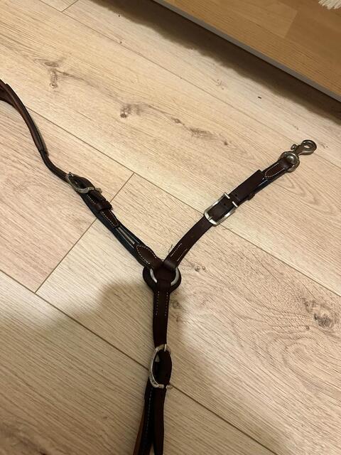 collier de chasse Antarès Marron