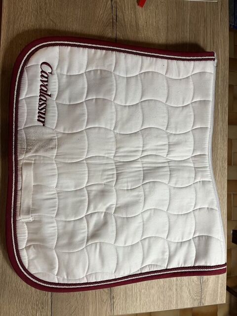 Tapis de dressage blanc