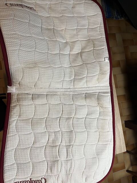 Tapis de dressage blanc