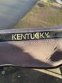 Amortisseur kentucky gris