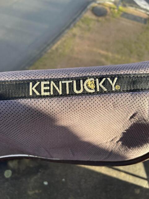 Amortisseur kentucky gris