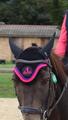 bonnet alexandra ledermann