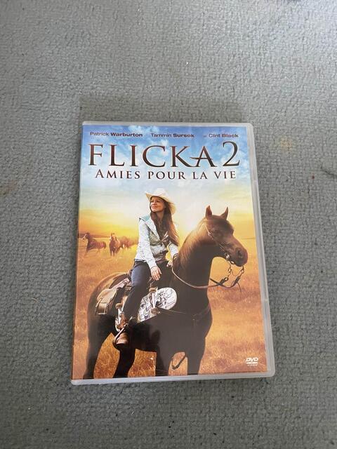 dvd flicka