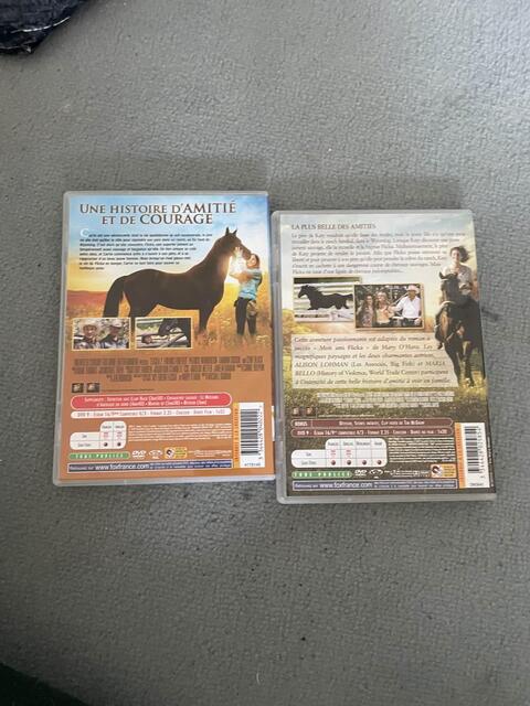 dvd flicka