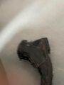 boots fougenza