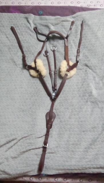 Collier de chasse